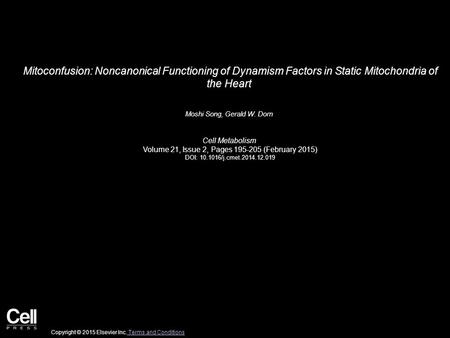 Mitoconfusion: Noncanonical Functioning of Dynamism Factors in Static Mitochondria of the Heart Moshi Song, Gerald W. Dorn Cell Metabolism Volume 21, Issue.