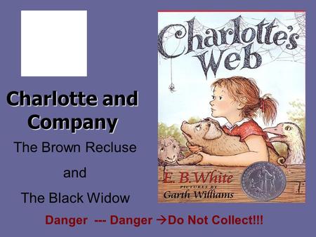 Charlotte and Company The Brown Recluse and The Black Widow Danger --- Danger  Do Not Collect!!!