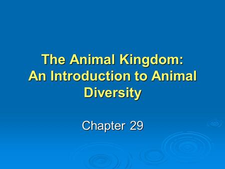 The Animal Kingdom: An Introduction to Animal Diversity Chapter 29.