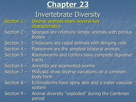 Chapter 23 Invertebrate Diversity