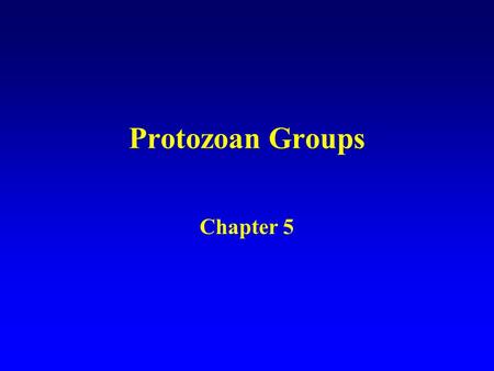 Protozoan Groups Chapter 5. Protozoa ProtostomesDeuterostomes Coelomates Acoelomates Mollusca Crustacea Arachnida Insecta Annelida Echinodermata Chordata.