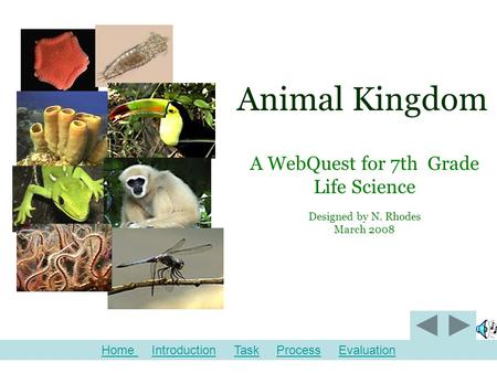 Animal Kingdom A WebQuest for 7th Grade Life Science Designed by N. Rhodes March 2008 Home Home Introduction Task Process EvaluationIntroductionTaskProcessEvaluation.