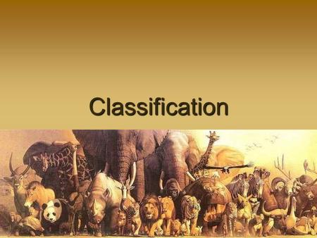 Classification. Classification Scheme How many kingdoms? Lumpers v. Splitters Lumpers v. Splitters 5 Kingdoms: Monera (now archaebacteria & eubacteria),