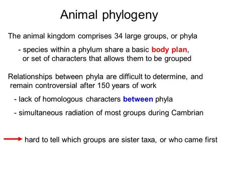 Animal phylogeny The animal kingdom comprises 34 large groups, or phyla - species within a phylum share a basic body plan, or set of characters that allows.