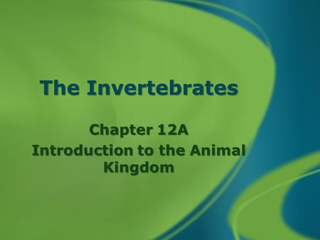 The Invertebrates Chapter 12A Introduction to the Animal Kingdom.