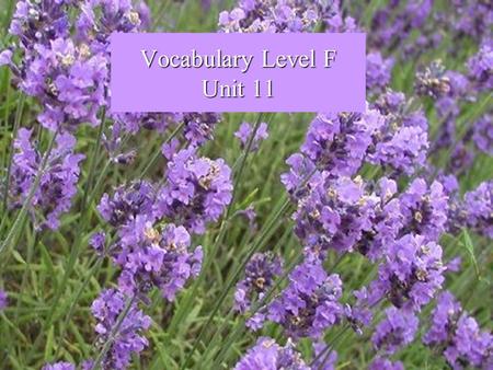 Vocabulary Level F Unit 11