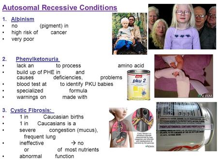 Autosomal Recessive Conditions 2. Phenylketonuria (PKU) lack an enzyme to process phenylalanine amino acid build up of PHE in urine and blood causes mental.