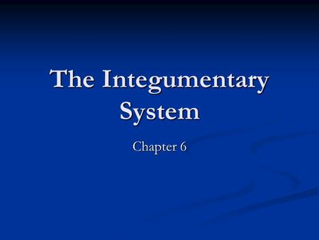 The Integumentary System Chapter 6. General Information About the Integumentary System Covers approx. 2 square meters (20 sq. ft.) Covers approx. 2 square.