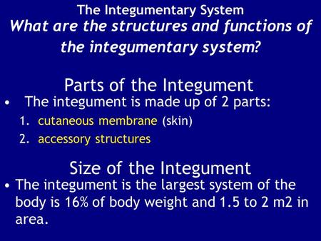 The Integumentary System What are the structures and functions of the integumentary system? Size of the Integument The integument is the largest system.