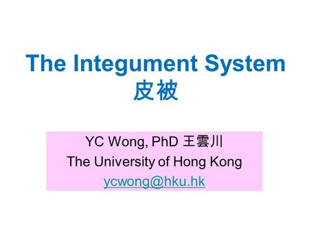 The Integument System 皮被 YC Wong, PhD 王雲川 The University of Hong Kong