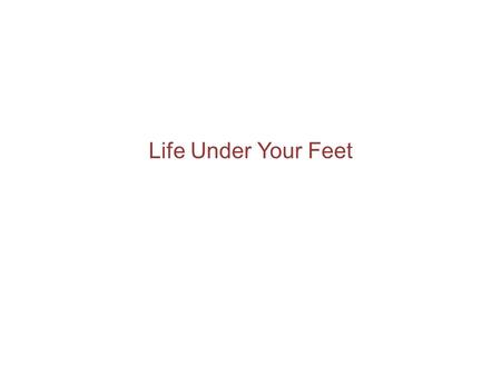 Life Under Your Feet. Sensor Network Design Philosophies Use low cost components No access to line power –Deployed in remote locations Radio is the.