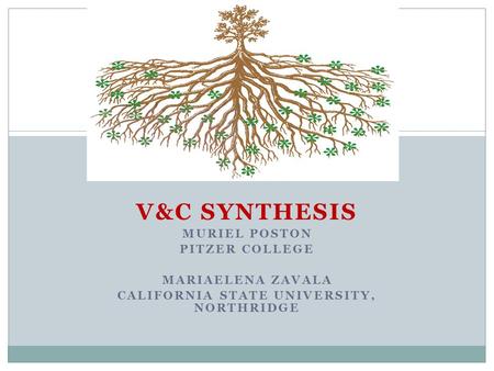 V&C SYNTHESIS MURIEL POSTON PITZER COLLEGE MARIAELENA ZAVALA CALIFORNIA STATE UNIVERSITY, NORTHRIDGE.