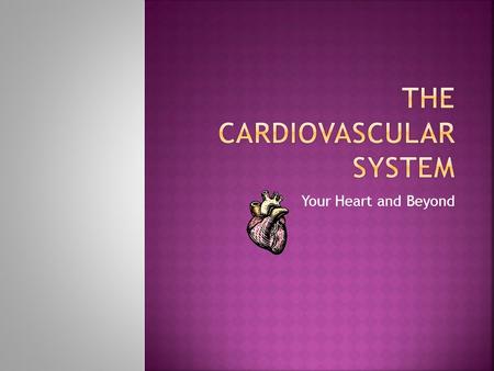 Your Heart and Beyond.  Located on the left side of the body above the diaphragm. The base of the heart is parallel to the right edge of the sternum.