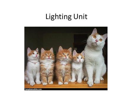 Lighting Unit. It’s all about The Light Photography is the art of recording light. Light is what makes photography happen. The word photography comes.