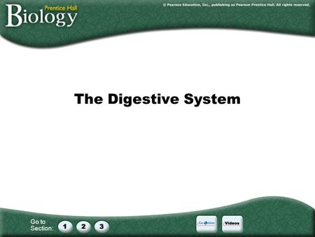 Go to Section: The Digestive System. Go to Section: Section Outline 38–1Food and Nutrition A.Food and Energy B.Nutrients 1.Water 2.Carbohydrates 3.Fats.