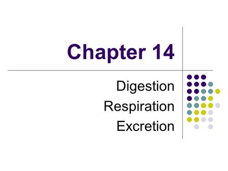 Digestion Respiration Excretion