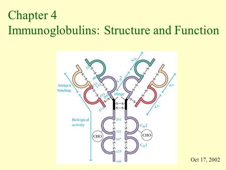 Immunoglobulins: Structure and Function