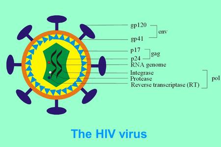 The HIV virus. The overwhelming majority of people with HIV live in low- and middle-income countries. Sub- Saharan Africa accounts for two-thirds.