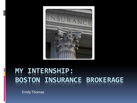 Emily Thomas. Agenda  Company Description  Orientation and Training  Adjustments  Communication  Career Planning  Pluses and Minuses.