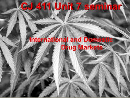 CJ 411 Unit 7 seminar International and Domestic Drug Markets.