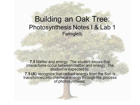 Building an Oak Tree: Photosynthesis Notes I & Lab 1 Famigletti