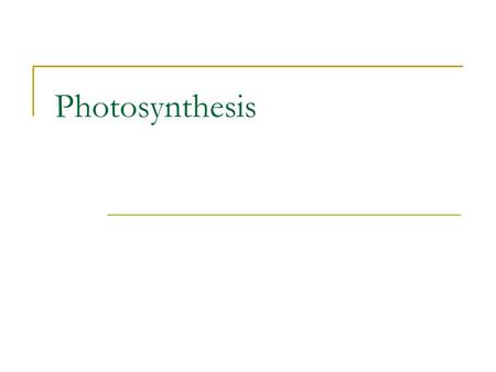 Photosynthesis.