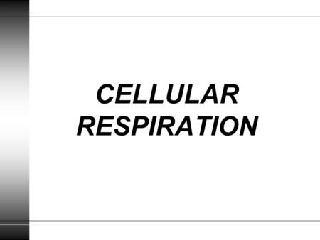 CELLULAR RESPIRATION.