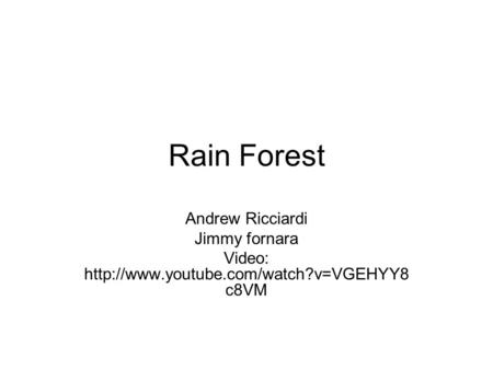 Rain Forest Andrew Ricciardi Jimmy fornara Video:  c8VM.