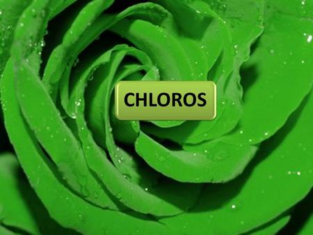 CHLOROS. PRESENTED BY RESMI.PANTONY.P.TARUN PETERRINNU THOMASAUGUSTINE NIRMALSHERIN LEE JOSEPH.