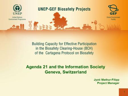 1 Agenda 21 and the Information Society Geneva, Switzerland Jyoti Mathur-Filipp Project Manager.