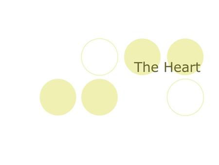 The Heart. Description of the Heart Location:  Between the lungs  More to the left of your chest Size of the Heart:  12cm in length  8-9cm in width.