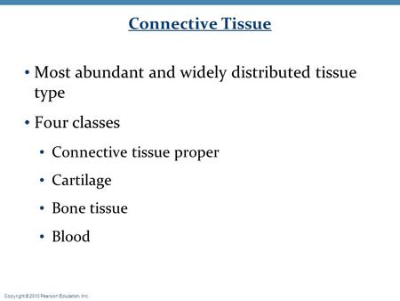 Copyright © 2010 Pearson Education, Inc. Connective Tissue Most abundant and widely distributed tissue type Four classes Connective tissue proper Cartilage.