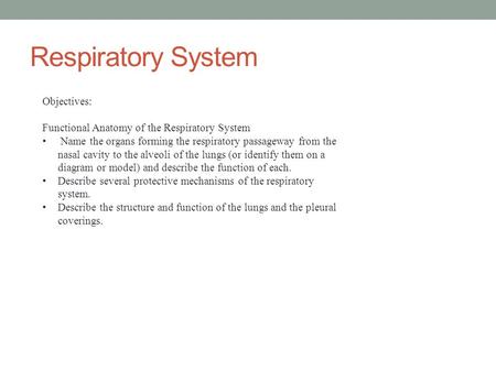 Respiratory System Objectives: