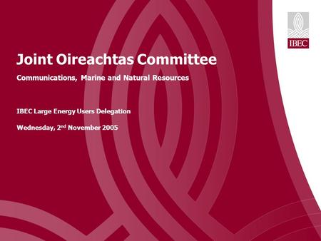 Joint Oireachtas Committee Communications, Marine and Natural Resources IBEC Large Energy Users Delegation Wednesday, 2 nd November 2005.