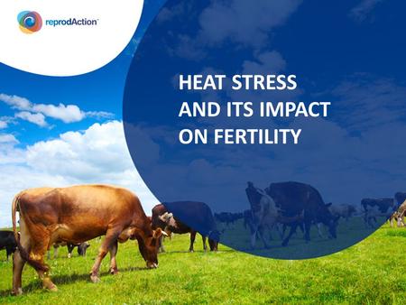 HEAT STRESS  AND ITS IMPACT  ON FERTILITY