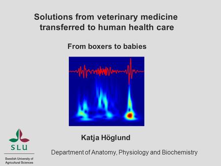 Department of Anatomy, Physiology and Biochemistry Solutions from veterinary medicine transferred to human health care Katja Höglund From boxers to babies.