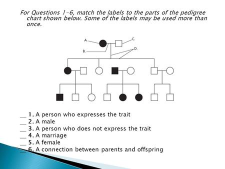 For Questions 1-6, match the labels to the parts of the pedigree chart shown below. Some of the labels may be used more than once.   1. A person who.