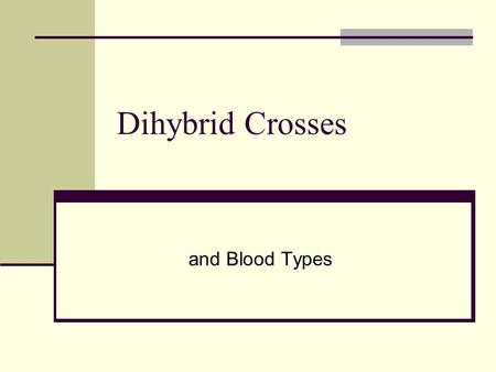 Dihybrid Crosses and Blood Types.