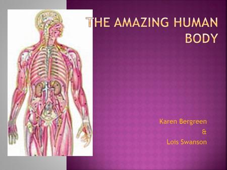 Karen Bergreen & Lois Swanson. The heart beats around 3 billion times in the average person’s life. About 8 million blood cells die in the human body.