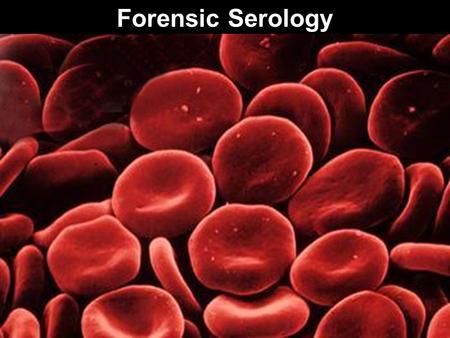 Forensic Serology.