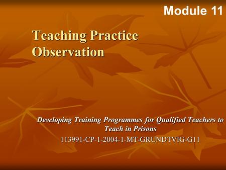 Developing Training Programmes for Qualified Teachers to Teach in Prisons 113991-CP-1-2004-1-MT-GRUNDTVIG-G11 Teaching Practice Observation Module 11.