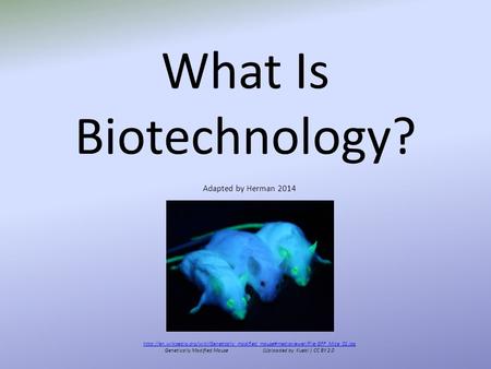 What Is Biotechnology?  Genetically Modified Mouse(Uploaded by.