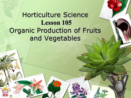 Horticulture Science Lesson 105 Organic Production of Fruits and Vegetables.