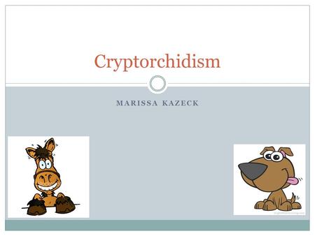 MARISSA KAZECK Cryptorchidism. What is cryptorchidism? A condition in which one (unilateral) or both (bilateral) testicles are retained either in the.