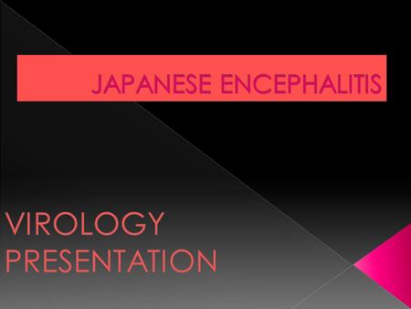 JAPANESE ENCEPHALITIS