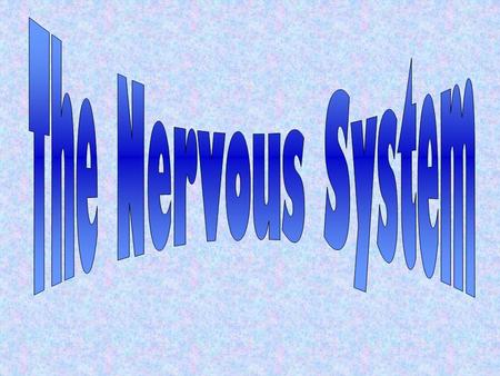 A system that controls all of the activities of the body. The nervous system is made of: The brainThe spinal cord The nervesThe senses.