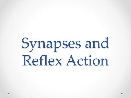 Synapses and Reflex Action. Synapse Neurons are not continuous Synapse is “The junction across which a nerve impulse passes from an axon terminal to a.