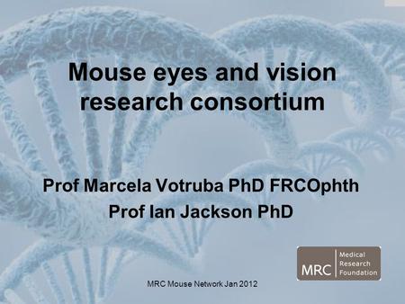 MRC Mouse Network Jan 2012 Mouse eyes and vision research consortium Prof Marcela Votruba PhD FRCOphth Prof Ian Jackson PhD.