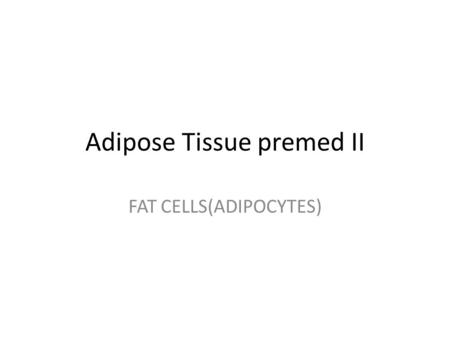 Adipose Tissue premed II FAT CELLS(ADIPOCYTES). ADIPOSE TISSUE A Specialty Connective Tissue.