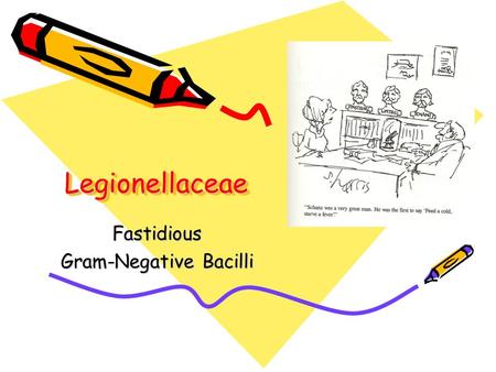 LegionellaceaeLegionellaceae Fastidious Gram-Negative Bacilli.